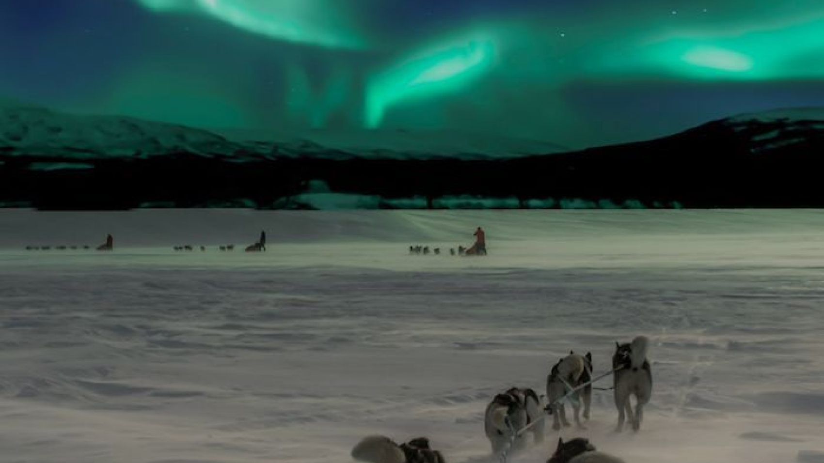 How to photograph the Northern Lights in Sweden – Geotraveler’s Niche – Lola Akinmade Åkerström Krystal Kinney